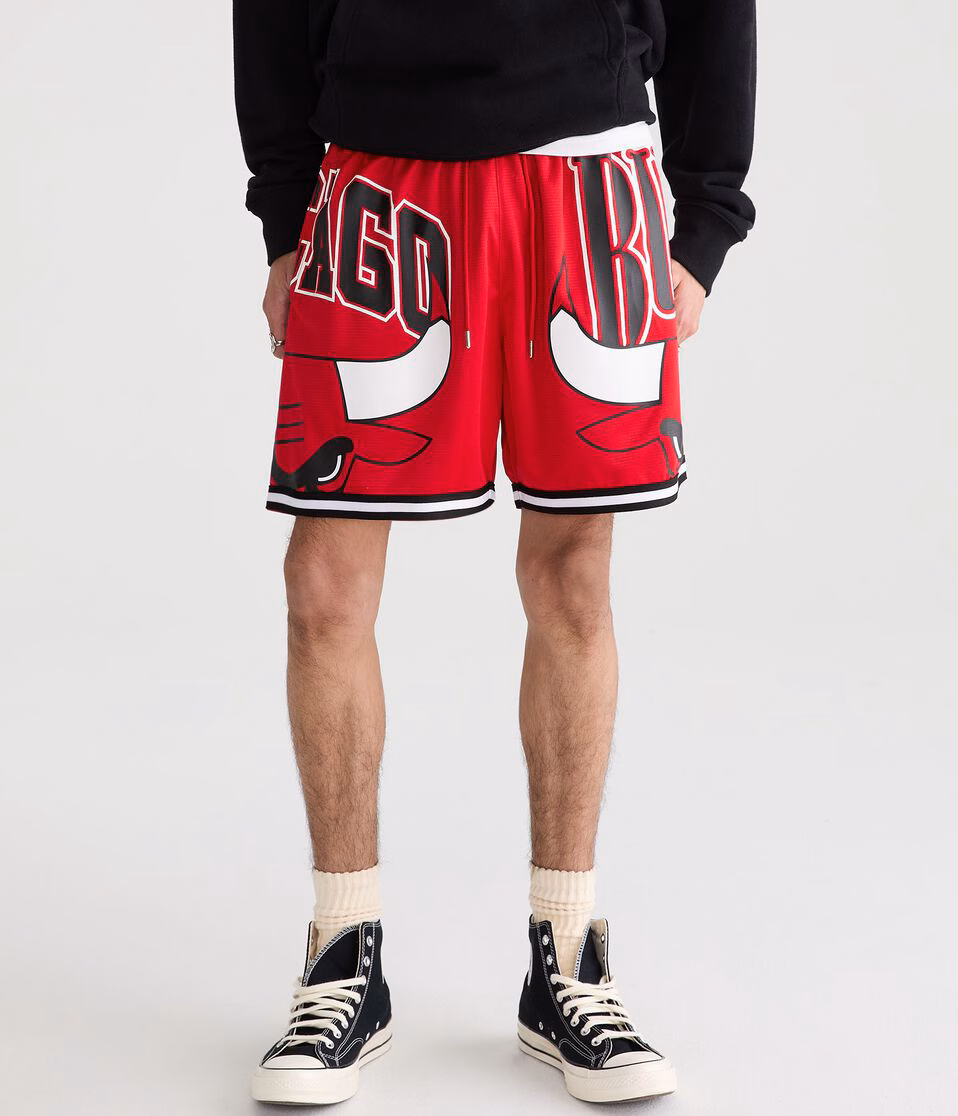 Chicago Bulls Mesh Shorts